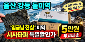 강동 미역 모바일