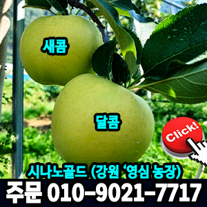 시나노골드
