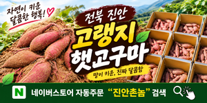 진안촌놈 모바일